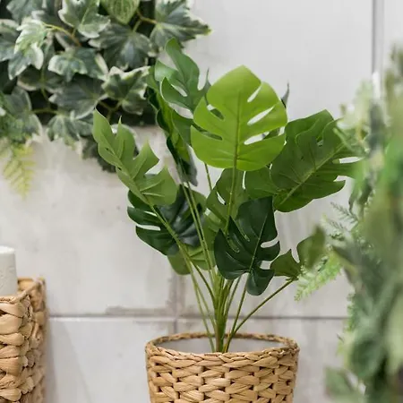 Apartment Jungle Design