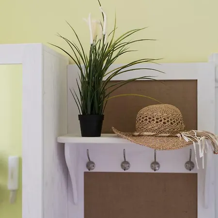 Jungle Design Apartment *