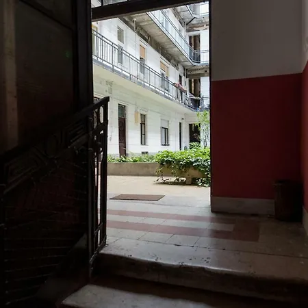 Jungle Design 아파트