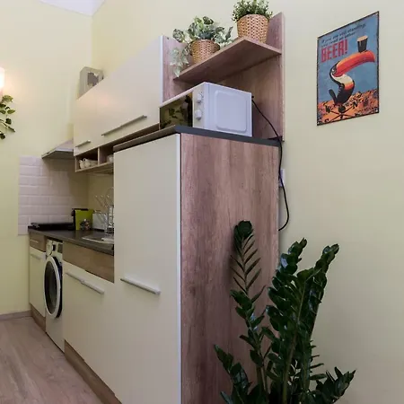 Jungle Design