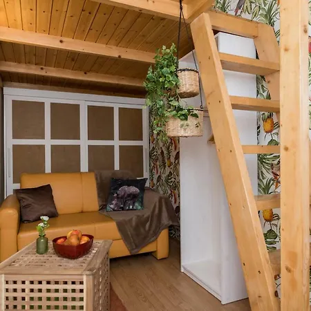 Jungle Design