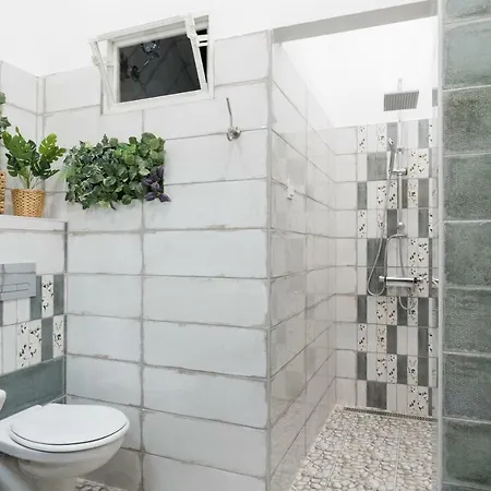 Jungle Design * Budapest