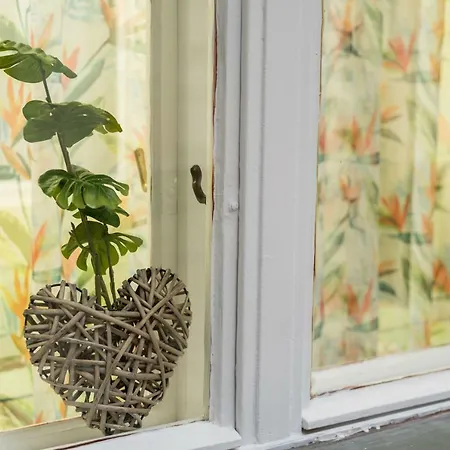 Jungle Design דירה *